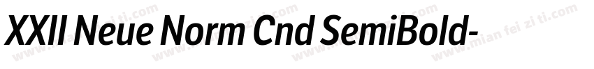 XXII Neue Norm Cnd SemiBold字体转换